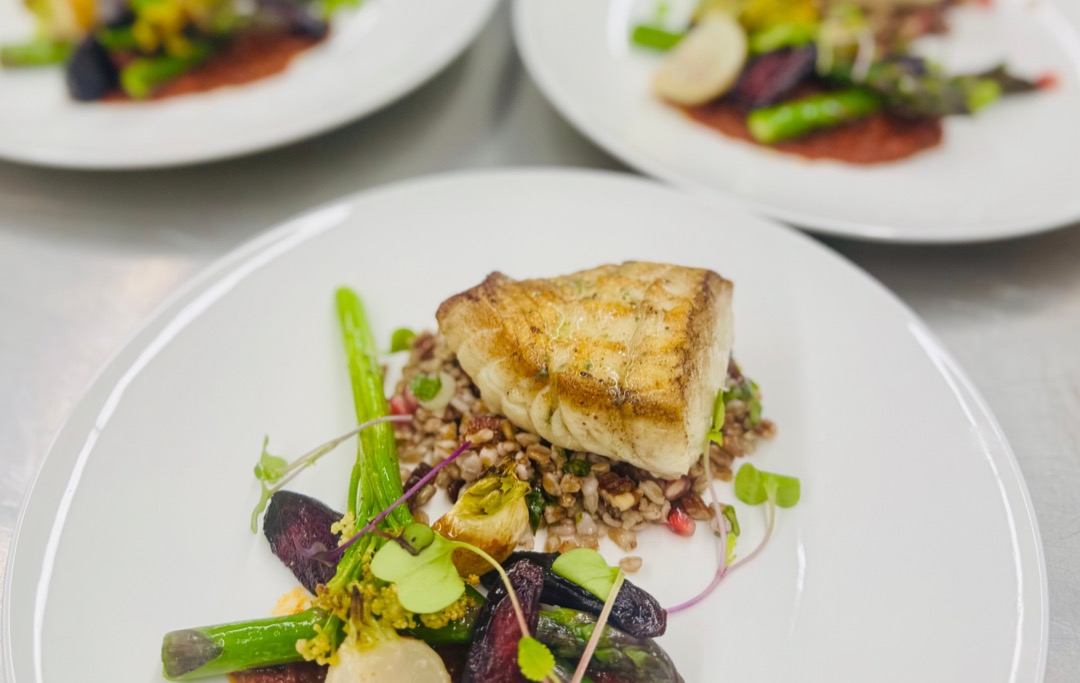 Plated seared fish over grains and roasted vegetables